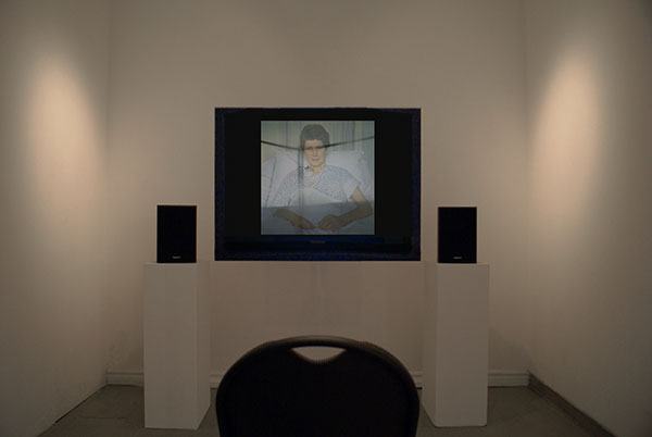 Transplant video installation, Gallery 1313, Toronto, 2008